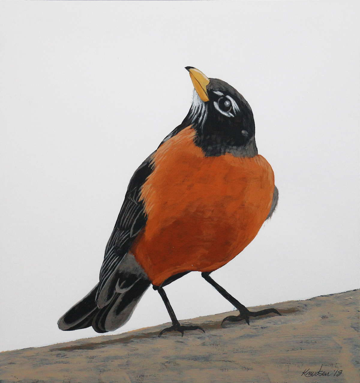 Robin